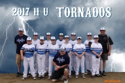 <h5>2017 Tornados 11U Team</h5>